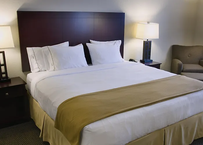 Express & Chicago West-o'hare Arpt Area By Ihg 2* Hillside